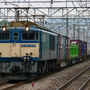 jrel-ef641039-20060509.jpg