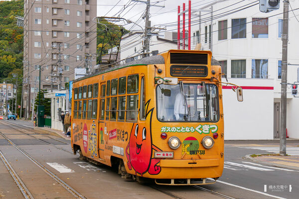 2020-10-12 中央図書館前停留場を発車する213。「くきつ」車体ラッピング広告。