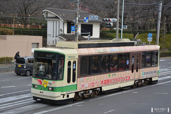 2017-03-05 王子駅前～飛鳥山間を走行する8500形8505